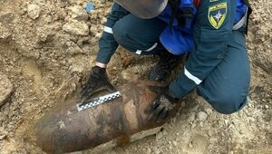 В лесу Багратионовского района обнаружили 100-килограммовую бомбу (фото)