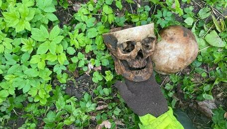 В Калининграде во время субботника на заброшенном кладбище нашли распиленный череп с латинскими буквами (фото)