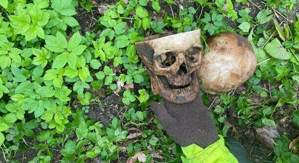 В Калининграде во время субботника на заброшенном кладбище нашли распиленный череп с латинскими буквами (фото)