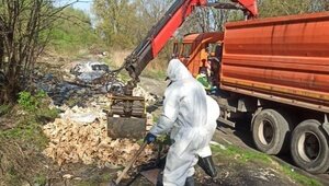 24 тонны коровьих черепов и старых покрышек: на окраине Калининграда 9 часов грузили мусор со стихийной свалки (фото)