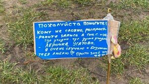 «Очень скучаю и безумно тебя люблю»: на озере Поплавок обнаружили послание ещё для одной Лерочки 