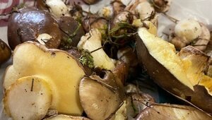 «Зашли в лес — и вот тебе подарок!»: удачливые грибники собрали первые маслята на Балтийской косе (фото)