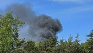 На Куршской косе в районе экотропы «Высота Эфа» случился пожар (фото, видео) 