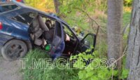 В Полесском районе легковушка врезалась в дерево, водителя и пассажира увезли в больницу   