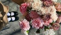 Весна в Калининграде: время дарить цветы с Floria39