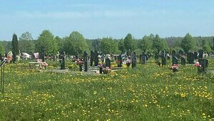 «Всё в траве и одуванчиках»: жителей Черняховска возмутил вид городского кладбища, заросшего сорняками (фото)