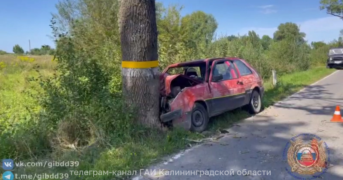 Появилось видео с места ДТП под Гурьевском, где 42-летний водитель ...