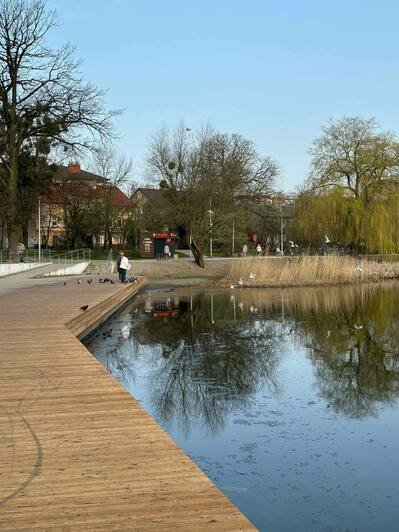 На берегу Летнего озера сделали деревянный настил (фото)  - Новости Калининграда | Фото: «Клопс»