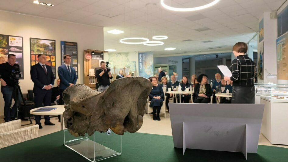 Череп носорога, который хотели незаконно отправить в США, передали в Музей Мирового океана (фото)    - Новости Калининграда | Фото: пресс-служба Музея Мирового океана