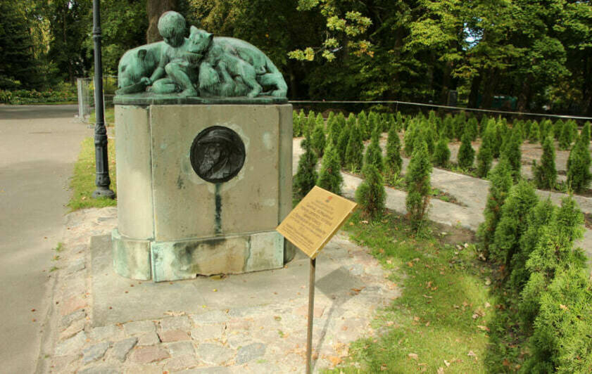 3,8 млн на мальчика и львят: в Калининграде отремонтируют немецкий памятник, поиски которого напоминали детектив (фото)   - Новости Калининграда | Фото: проектная документация