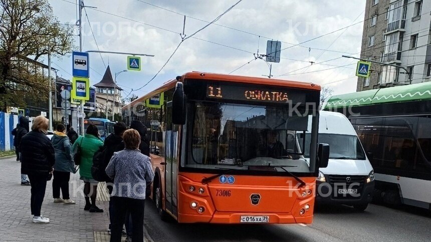 В Калининграде выпустили на обкатку новый автобус марки ЛиАЗ (фото) - Новости Калининграда | Фото читателя
