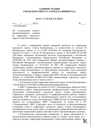 Дятлова подтвердила, что готовить шашлык временно нельзя даже на частных территориях - Новости Калининграда