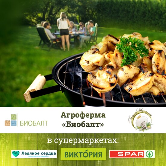 «Биобалт»: Как сделать барбекю полезным - Новости Калининграда