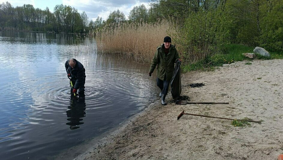 В Калининграде перед купальным сезоном начали расчищать водоёмы  - Новости Калининграда | Фото: администрация Калининграда
