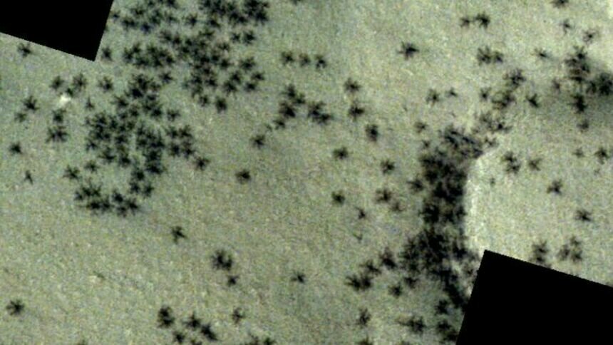 Европейское космическое агентство обнаружило на Марсе «жутких пауков» (фото)   - Новости Калининграда | Фото: Science Alert