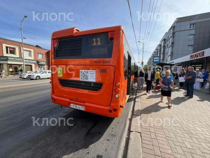 Такие же рыженькие: в Калининграде на маршрут вышли новые автобусы ЛиАЗ (фото, видео) - Новости Калининграда | Фото: «Клопс»