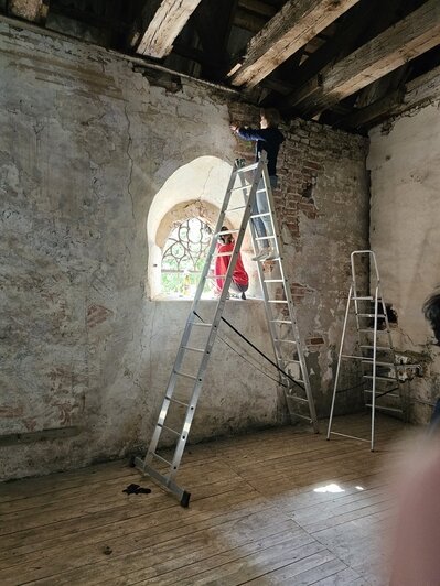 В старинной кирхе в Домново студенты пытаются спасти многовековые рисунки (фото)  - Новости Калининграда