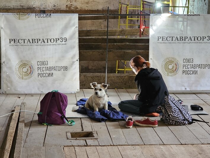 В старинной кирхе в Домново студенты пытаются спасти многовековые рисунки (фото)  - Новости Калининграда
