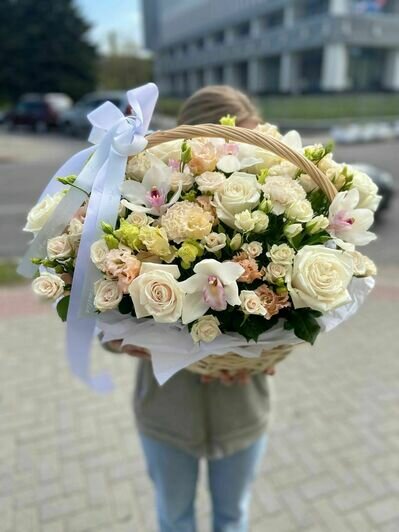 Весна в Калининграде: время дарить цветы с Floria39 - Новости Калининграда
