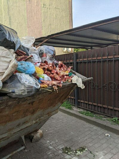 Кеска с костями рядом с домом на ул. Фрунзе, 37-43 | Фото: очевидец