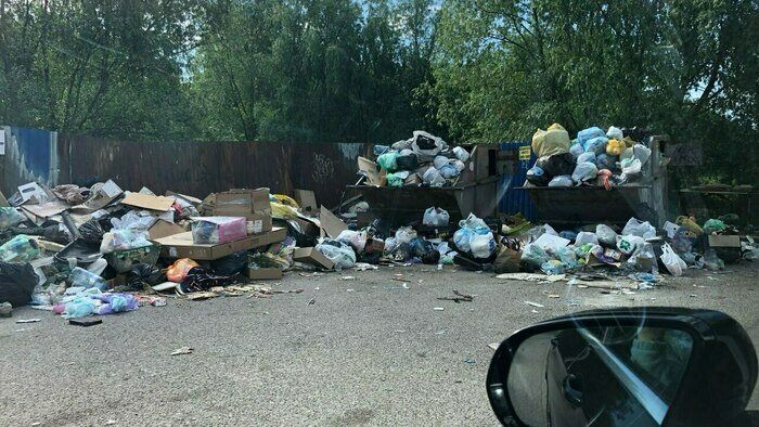 Забитая мусором площадка на улице Виктора Гакуна  | Фото: Кирилл Романцов 
