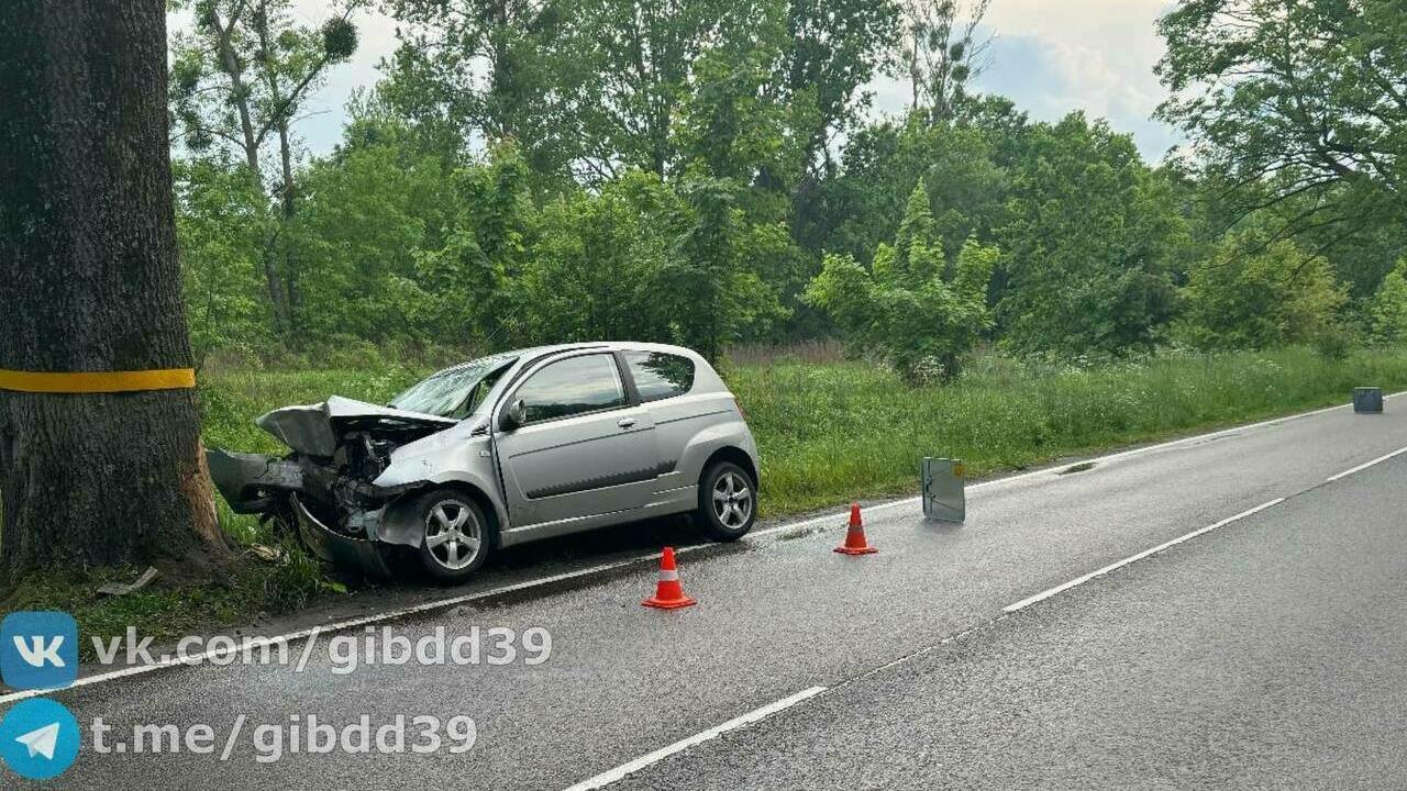 В Зеленоградском районе легковушка влетела в дерево, пострадал один человек  - Новости Калининграда