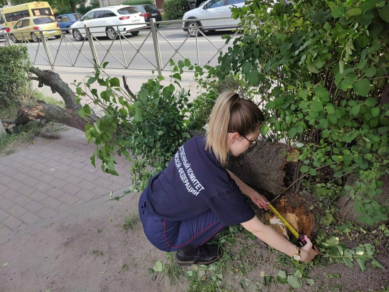 Меня колотило, ребёнок был в крови»: мама двухлетнего малыша рассказала,  как в Черняховске на сына рухнуло дерево - Новости Калининграда