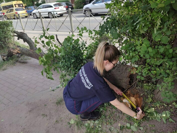 Следователь работает на месте происшествия  | Фото: СУ СК России по Калининградской области 