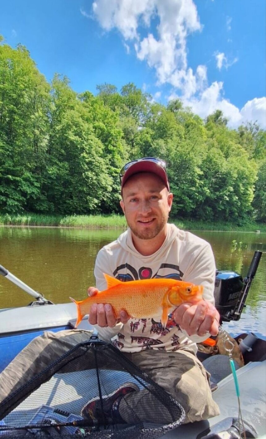 «Такое вижу впервые»: калининградец поймал золотую рыбку в реке Лаве (фото)  - Новости Калининграда | Фото предоставил рыбак