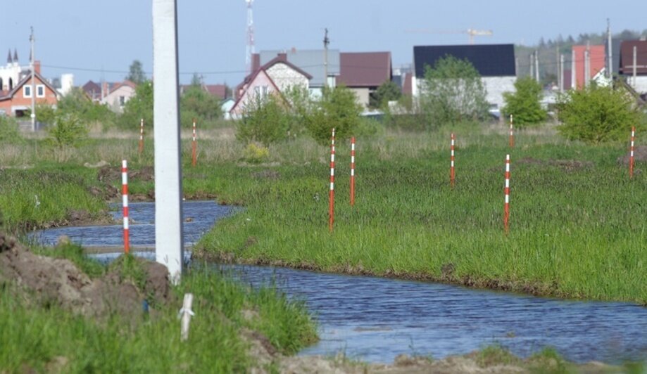 Под Зеленоградском мелиоративная техника угрожает краснокнижным птицам (фото)  - Новости Калининграда | Фото: Станислав Свиридов