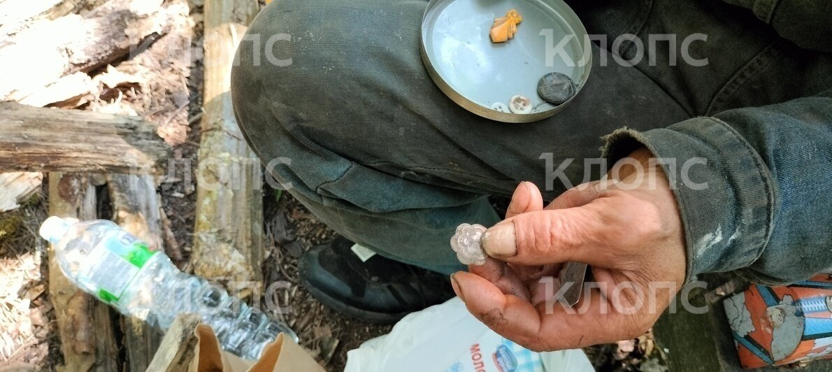 Прусские пуговицы, которые нашел отшельник | Фото: «Клопс»