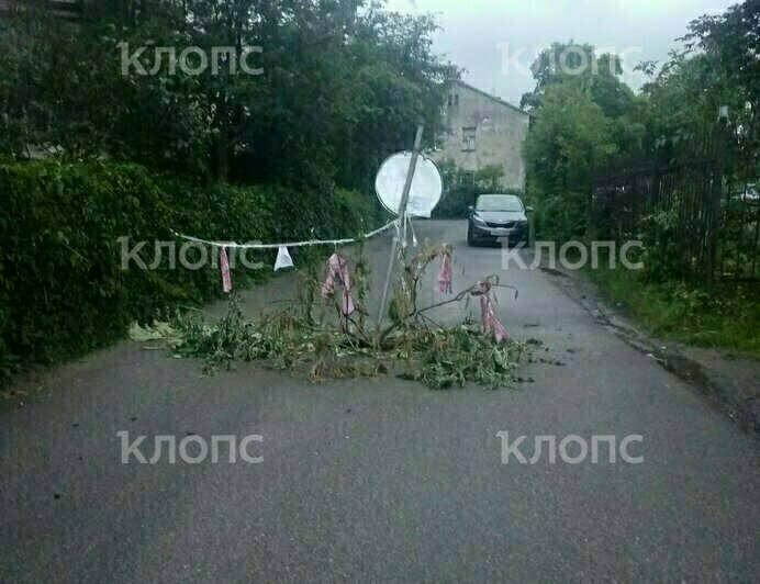 В яму вставили ветки и дорожный знак: в Калининграде на ещё одной улице провалилась дорога (фото) - Новости Калининграда | Фото: очевидец