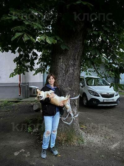 Мария Лукьянова не согласна с уничтожением деревьев | Фото: Александр Панфилов