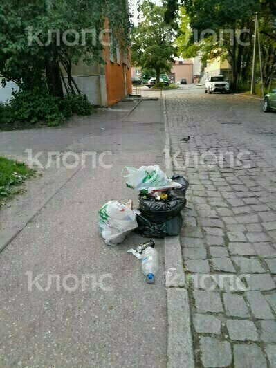 Тайна зелёных мешков: в «Чистоте» объяснили, почему вынуждены делить уличный мусор на «свой» и чужой - Новости Калининграда | Фото: Очевидцы