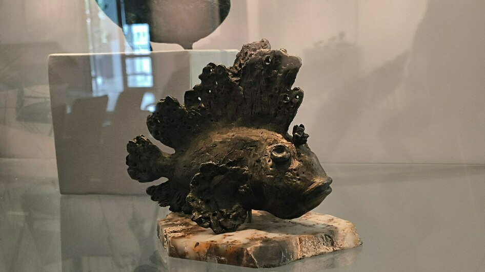 В Музее Мирового океана покажут «неуловимых хищников» - Новости Калининграда