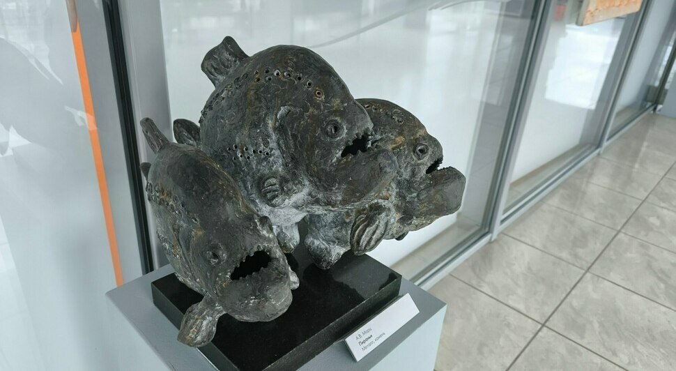 В Музее Мирового океана покажут «неуловимых хищников» - Новости Калининграда