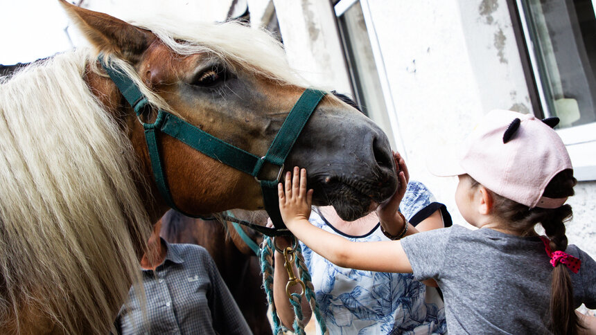 Лошадь испугалась и встала на дыбы: 25-летняя калининградка сломала позвоночник во время конной прогулки    - Новости Калининграда | Фото: архив «Клопс»