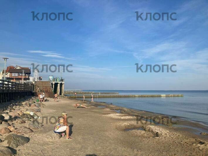 Отдыхающие в Зеленоградске с раннего утра начали заполнять пляжи (фото)  - Новости Калининграда | Фото: «Клопс»