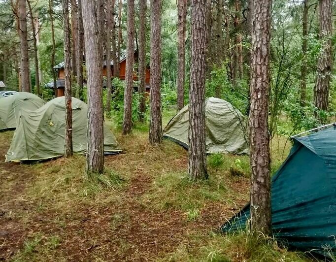 Вместо картошки: на Куршской косе студенты, живущие в палатках, будут убирать и благоустраивать территорию (фото) - Новости Калининграда | Фото: пресс-служба нацпарка