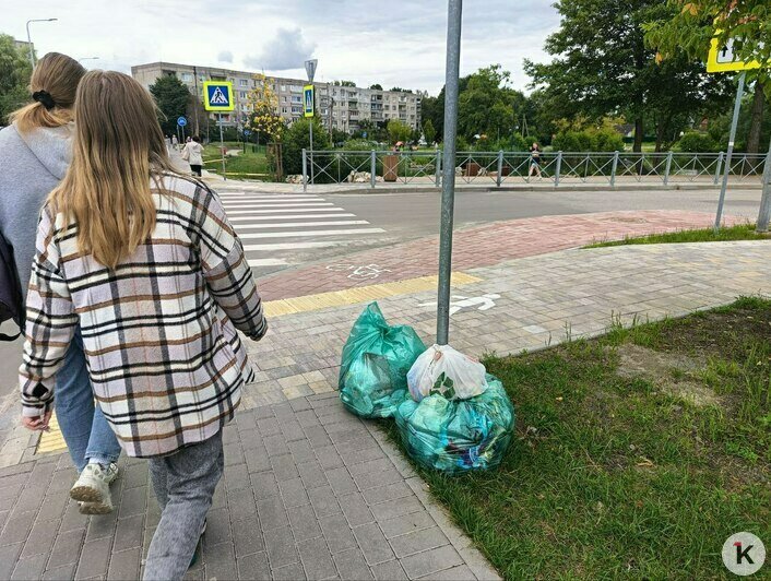 В мэрии Калининграда заявили, что не обязаны убирать пакеты с мусором с улиц до девяти утра  - Новости Калининграда | Фото: Очевидец