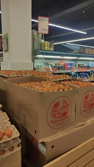 В Калининграде дорожают яйца, лук и картошка: июльский индекс клопса  - Новости Калининграда | Фото: «Клопс»