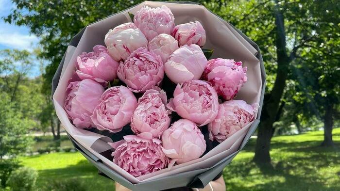 «Дарите женщинам цветы без повода»: сезон пионов в Floria39 - Новости Калининграда