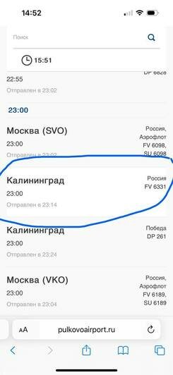 На электронных табло аэропортов не было реального времени прилёта.  | Фото: скриншоты пассажирки. 