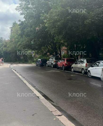 Сам себе гаишник: в центре Калининграда появилась новая «зебра», а дорожные знаки запутали водителей - Новости Калининграда