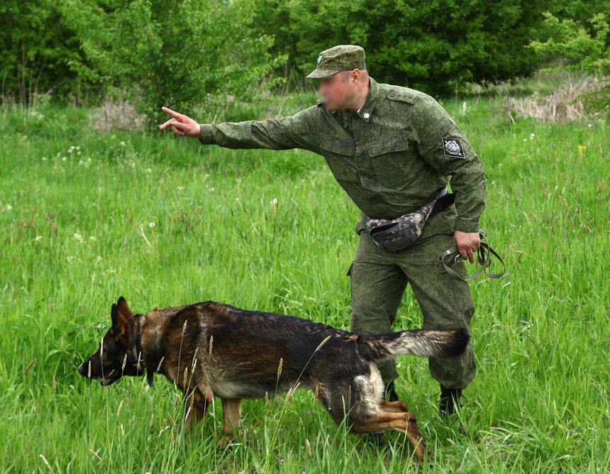 Кинолог со служебной собакой Одри  | пресс-служба ПУ ФСБ Калининградской области