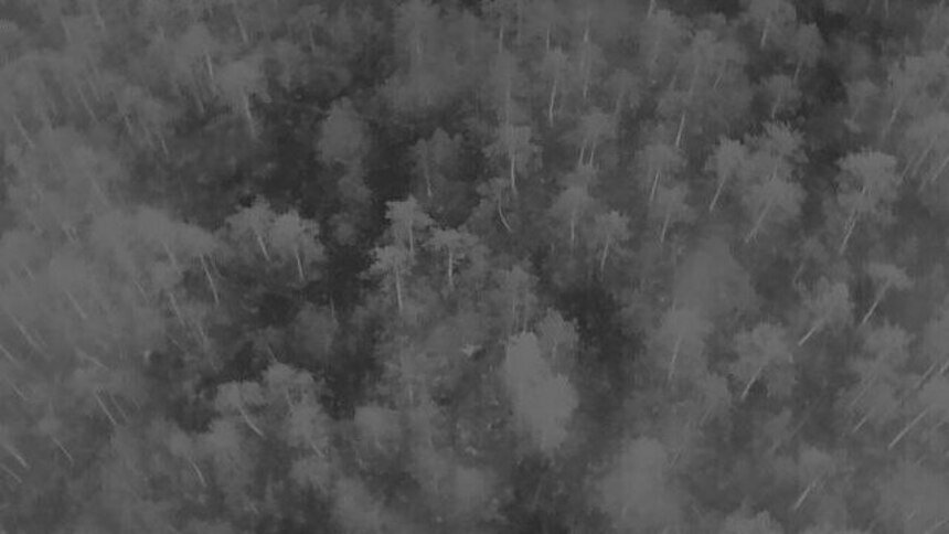 Снимок ночного леса, сделанный квадрокоптером с тепловизором во время поисков | Фото: ПСО «Запад»