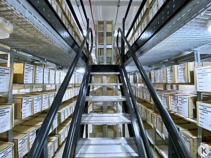 Самая знаменитая лестница архива | Фото: Александр Подгорчук / «Клопс»