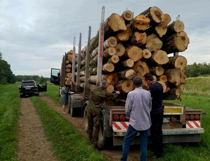 Под Краснознаменском патрулировавшие территорию лесничие заметили зелёный трактор, напичканный деревом на 2,5 млн рублей - Новости Калининграда | Фото: минприроды Калининградской области