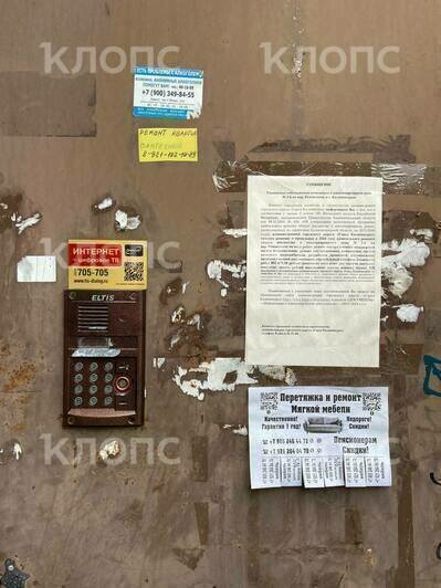 Сотрудники мэрии Калининграда испортили двери подъездов в районе Вагонки, расклеив объявления для жильцов - Новости Калининграда | Фото: Очевидец