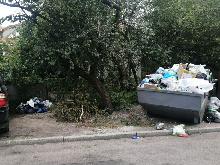 Подъезжают люди и вываливают мусор кучами: калининградцы снова недовольны переполненными кесками в своих дворах (фото)   - Новости Калининграда | Фото: Михаил